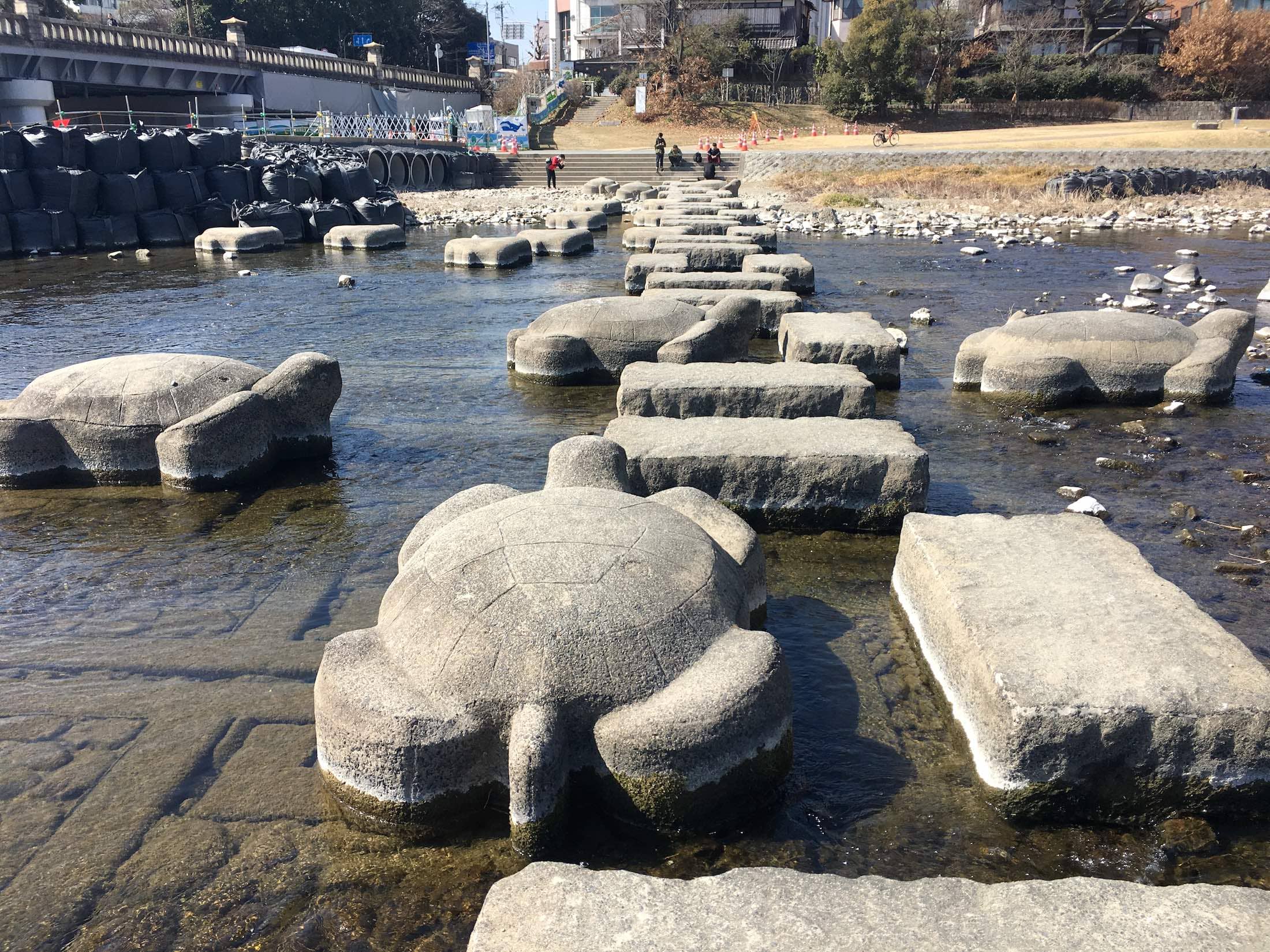 Turtle Stepping Stones