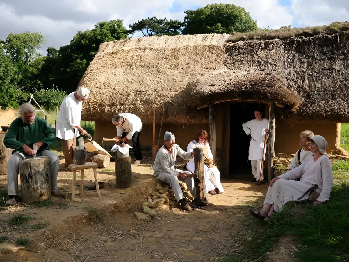 Insightful Guided Tours