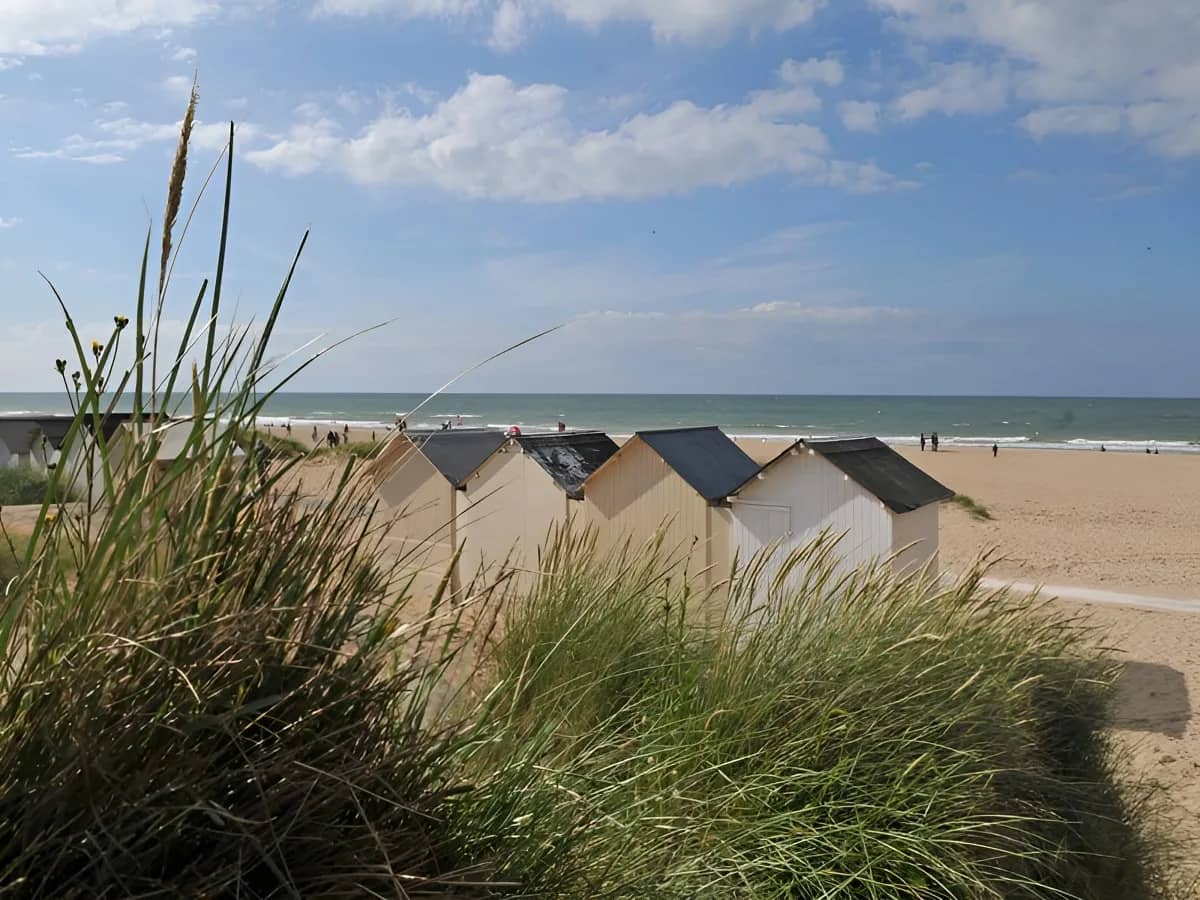Fine Sandy Shores