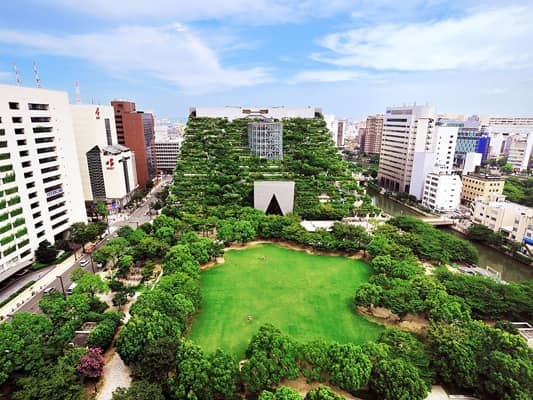 Rooftop Panoramic Views