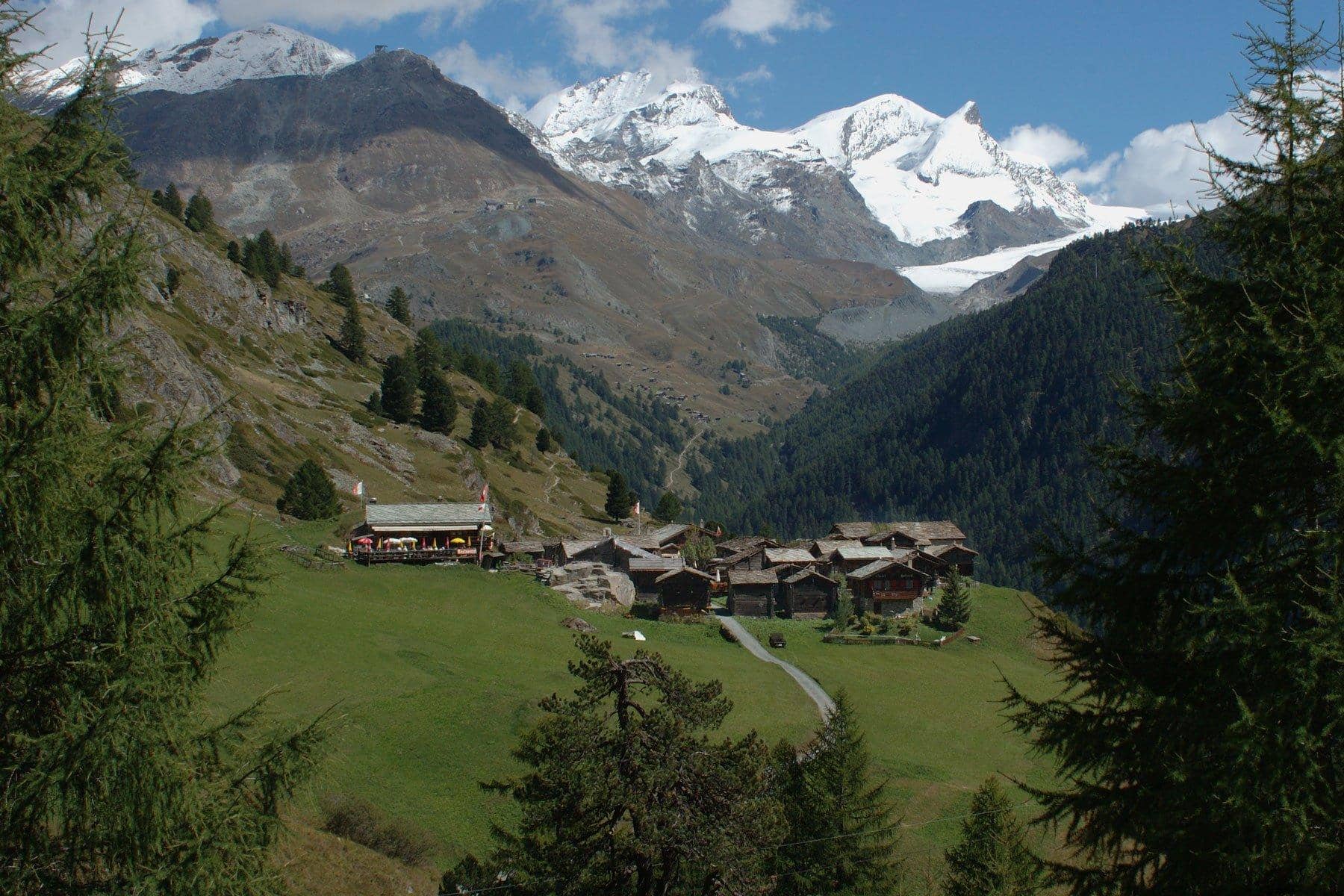 Alpine Pasture Scenery