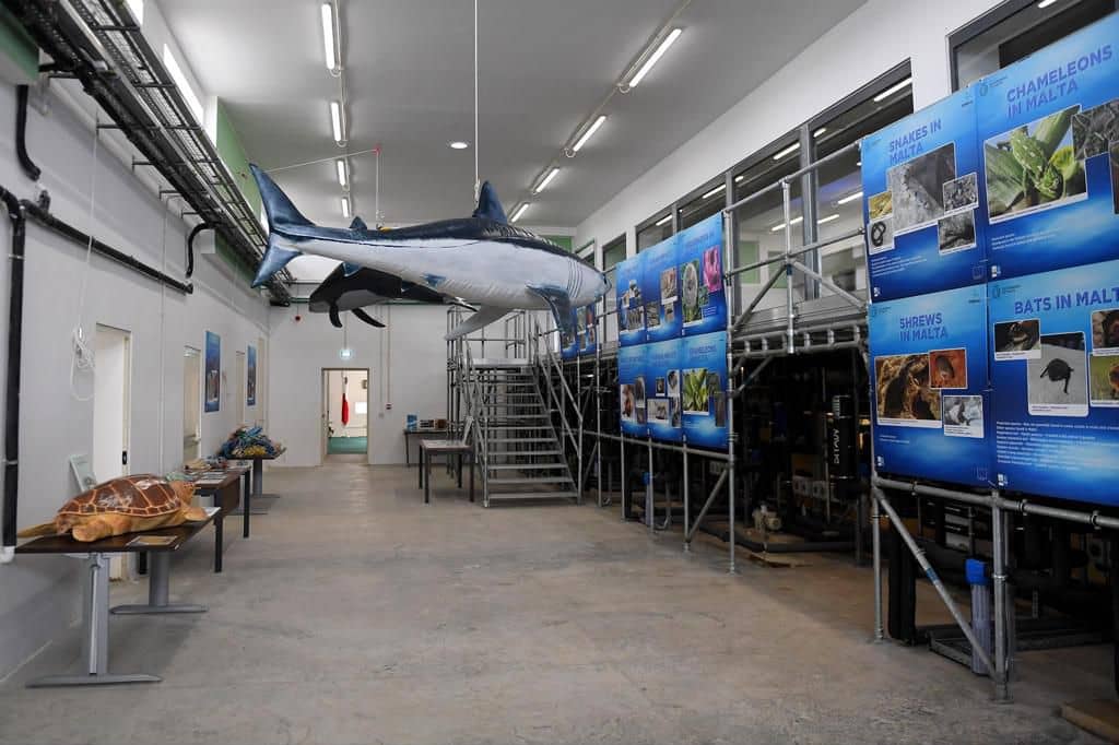 Wildlife Rehabilitation Centre