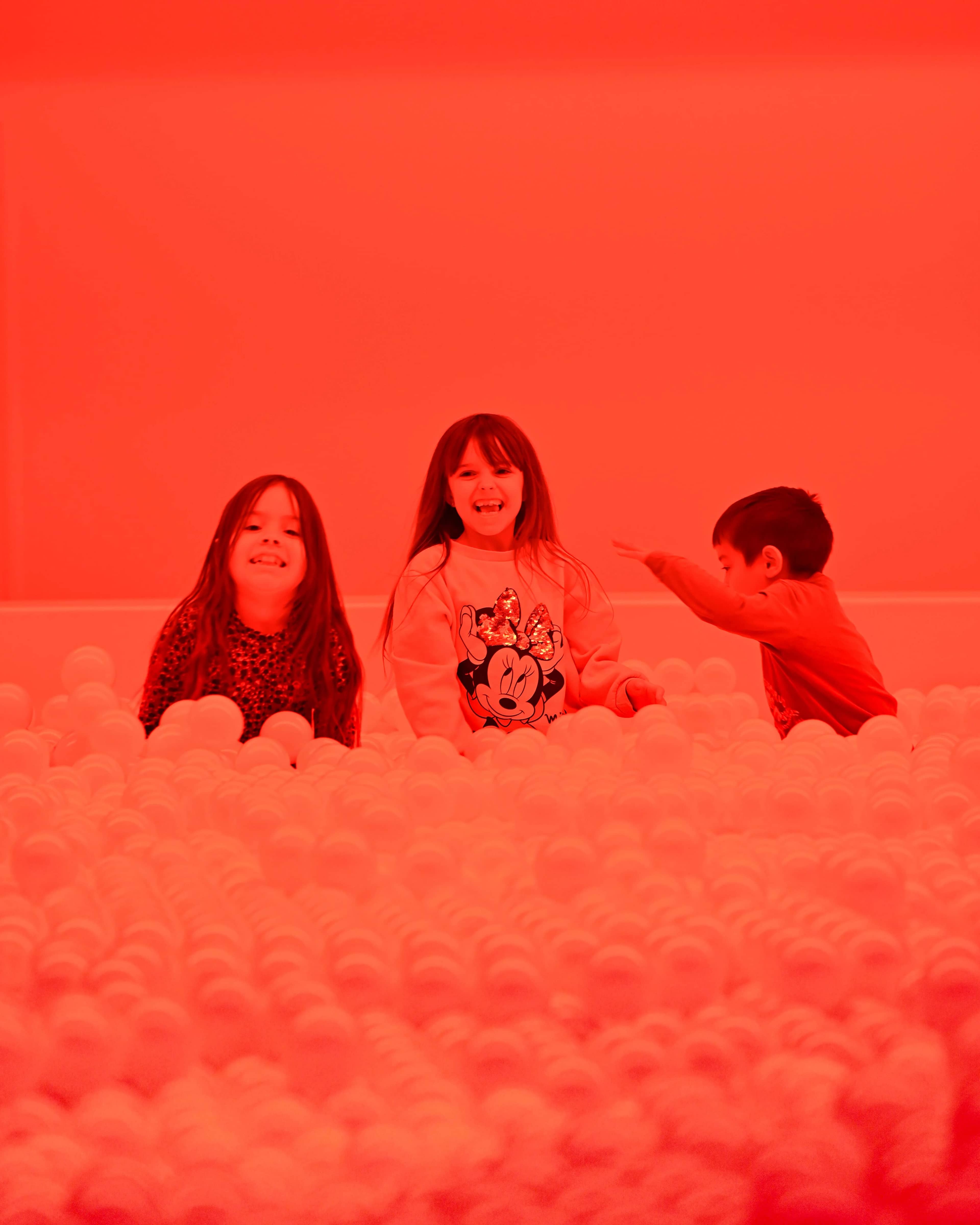 The Ice Age (Plastic Ball Pool)