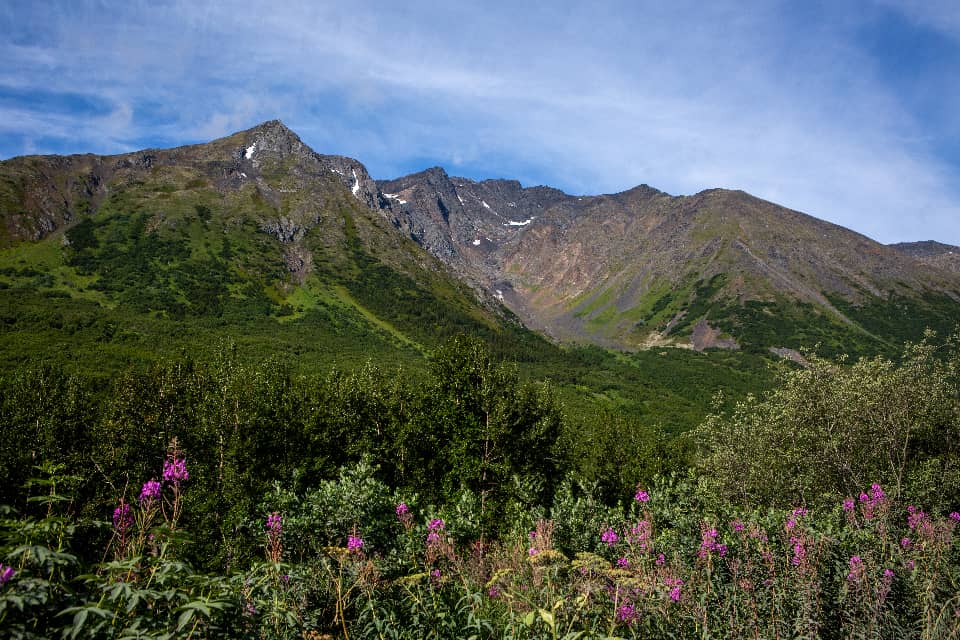 Panoramic Mountain Vistas