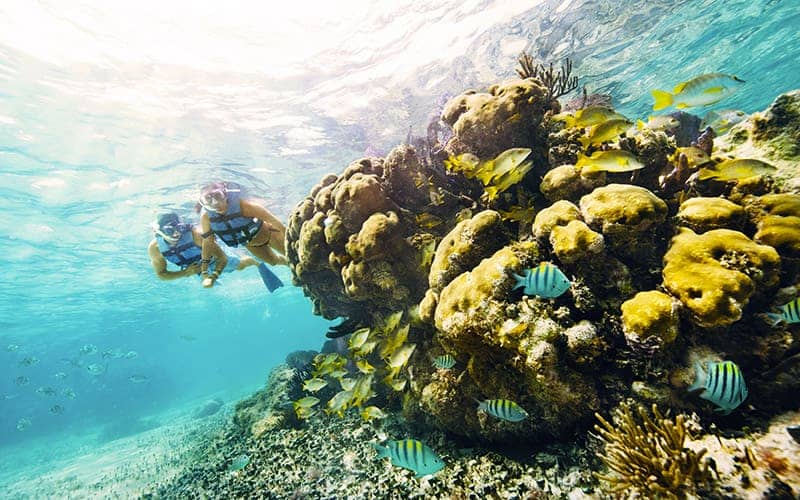 Snorkeling & Kayaking