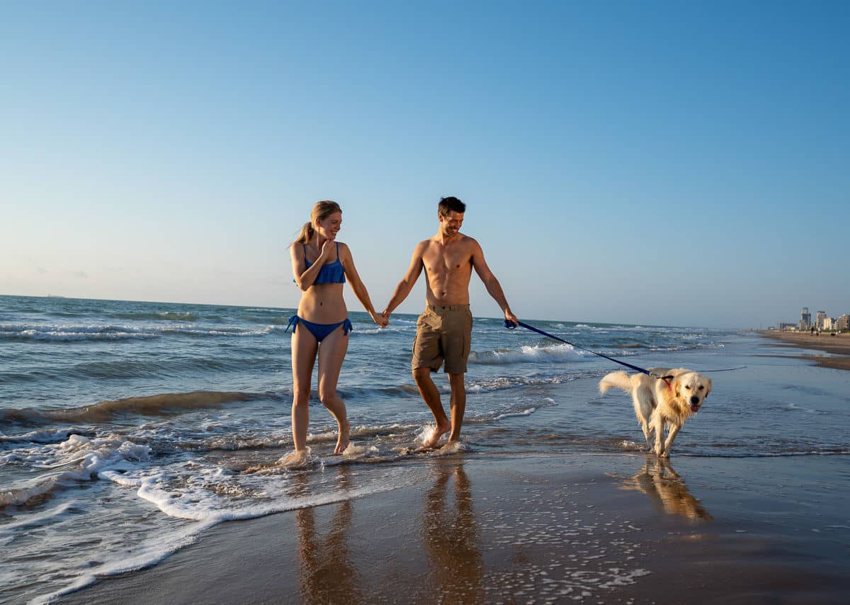 Dog-Friendly Shores