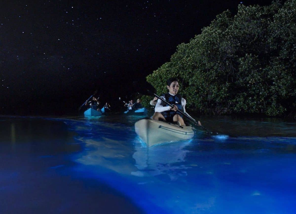 Stargazing from the Water