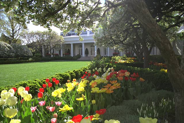 The Kennedy Garden