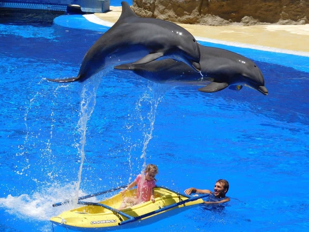Family Fun Zones