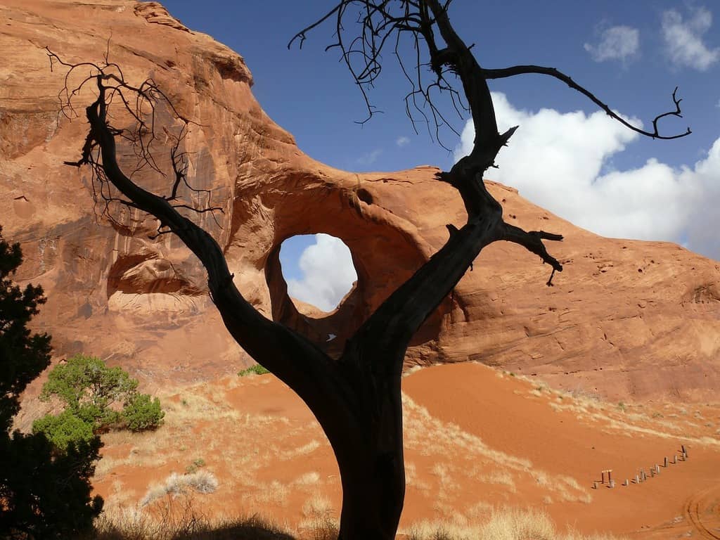 The Arch