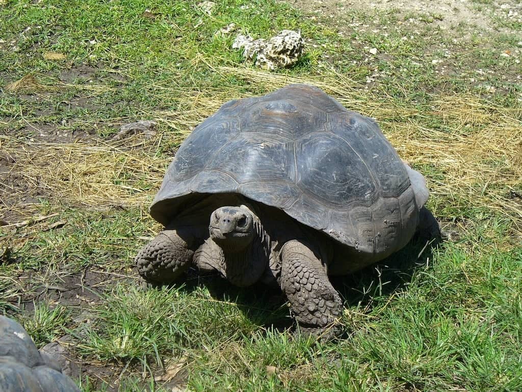 Aquarium & Reptile Zoo