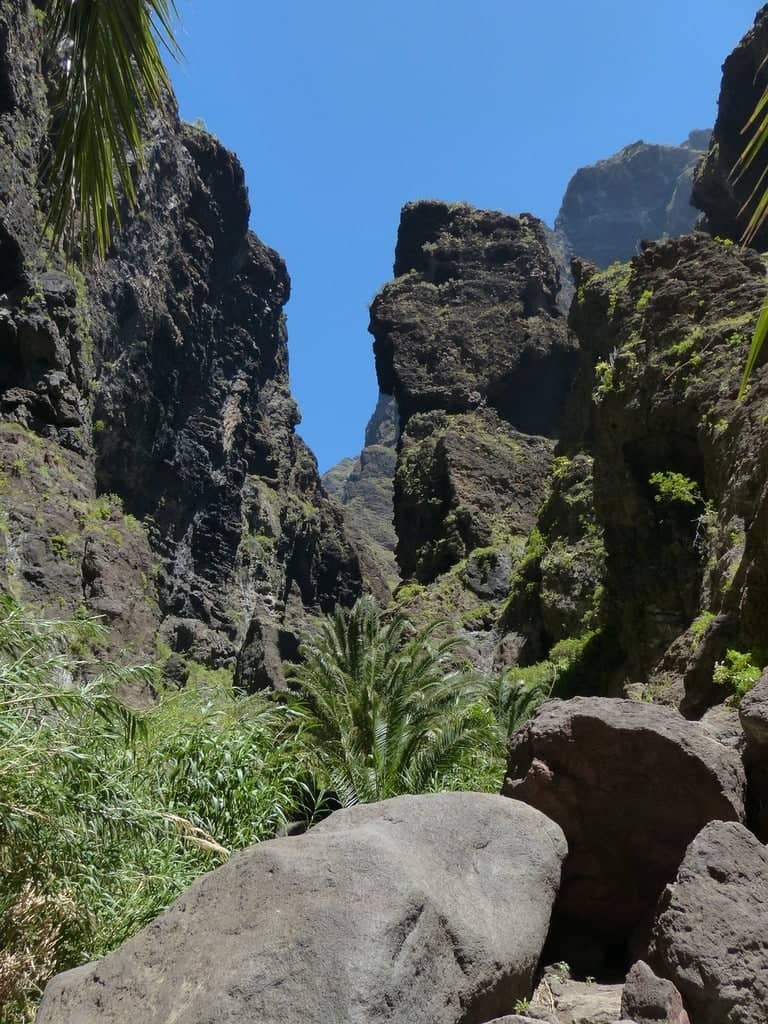 Scenic Hiking Trails