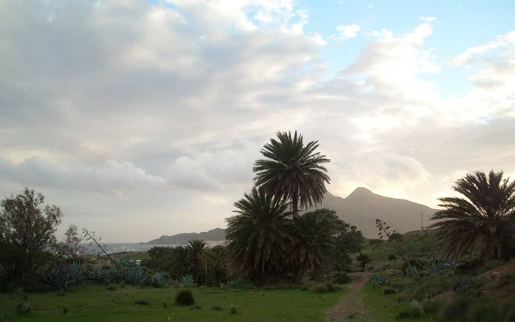 Cabo de Gata Natural Park