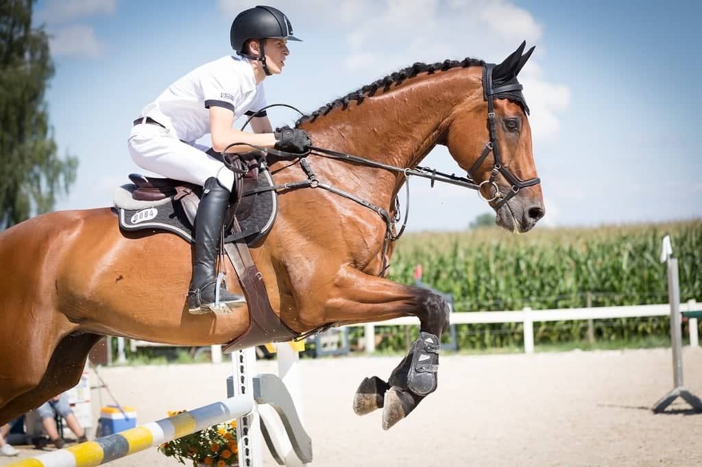 Jumping Verona