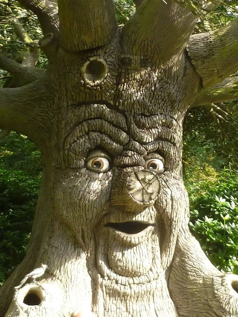 Majestic Oak Trees