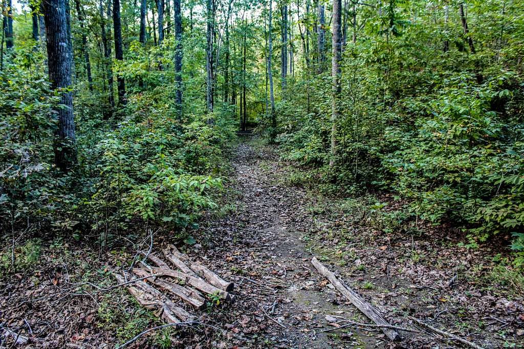 Scenic Hiking Trails