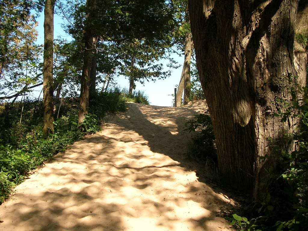 Wooded Forest Path