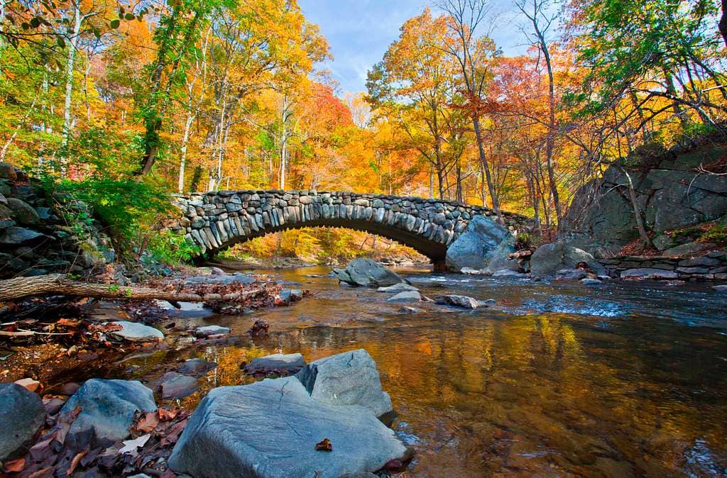 Rapids Bridge