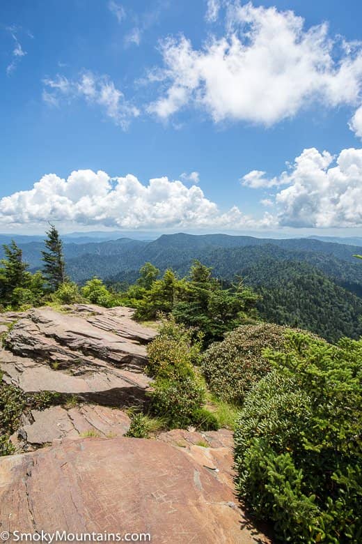 Trillium Gap Trail Scenery