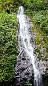 Cascading Waterfalls