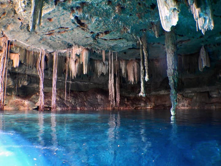 Majestic Stalactites & Roots