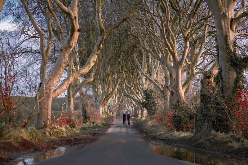Game of Thrones Connection