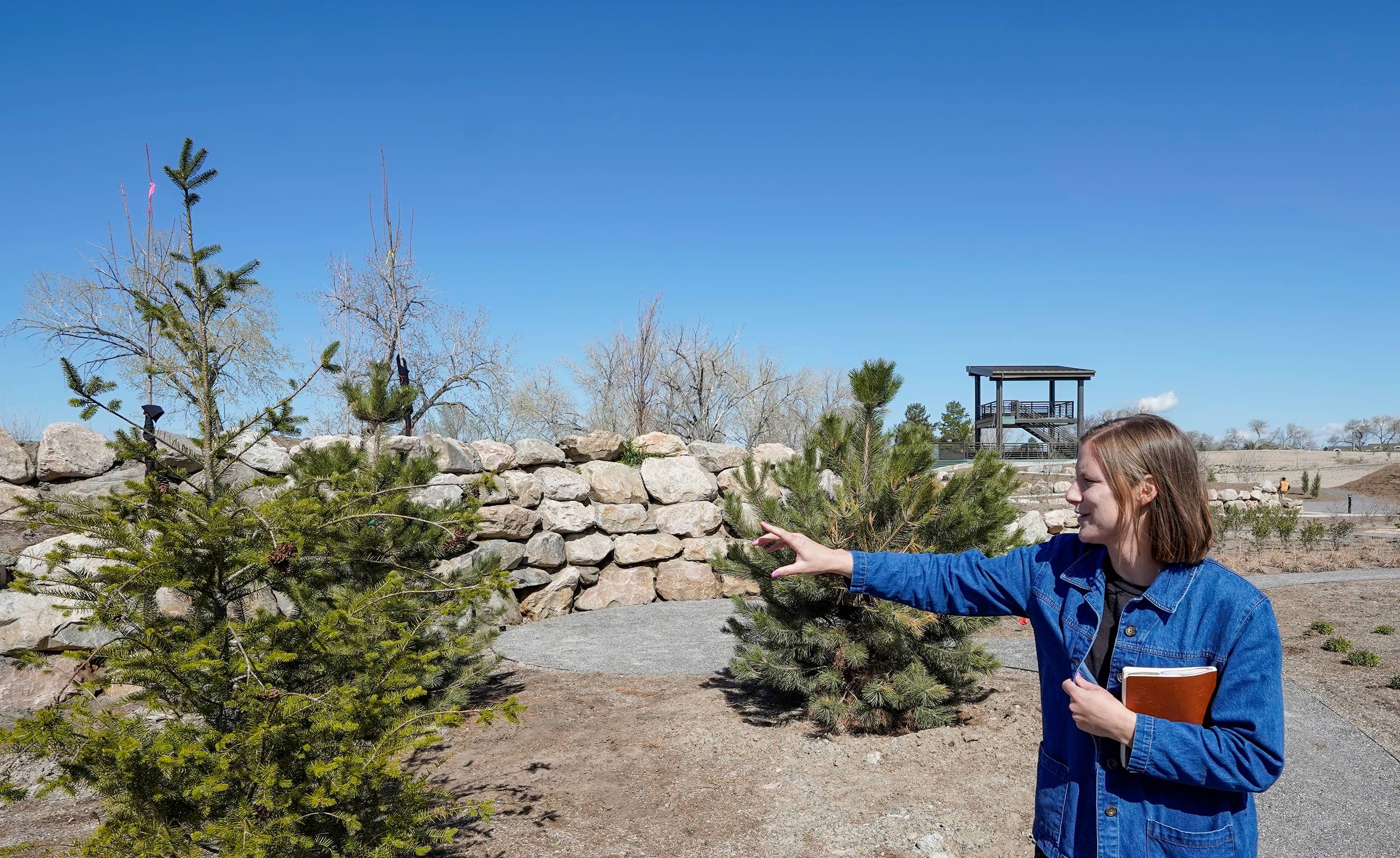 Native Plant Gardens