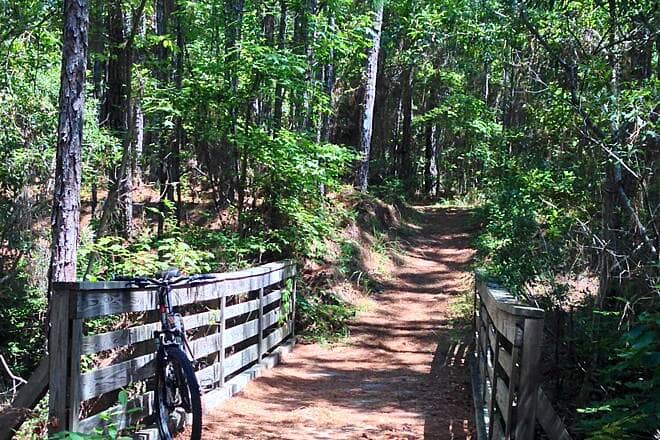 Scenic Boardwalks & Overlooks