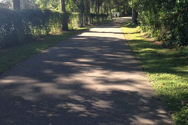 Shaded Tree-Lined Paths