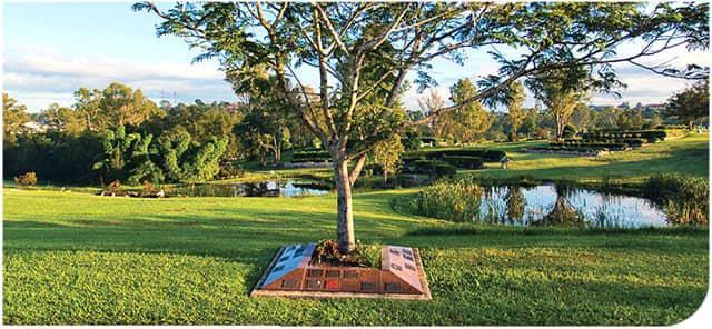 Disc Golf Course