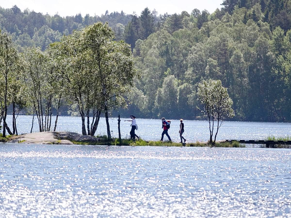 Summer Swimming Spots