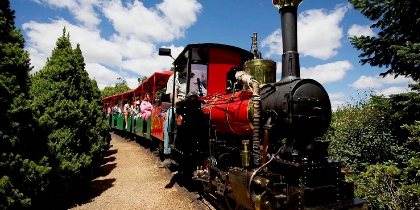 Miniature Steam Train Ride