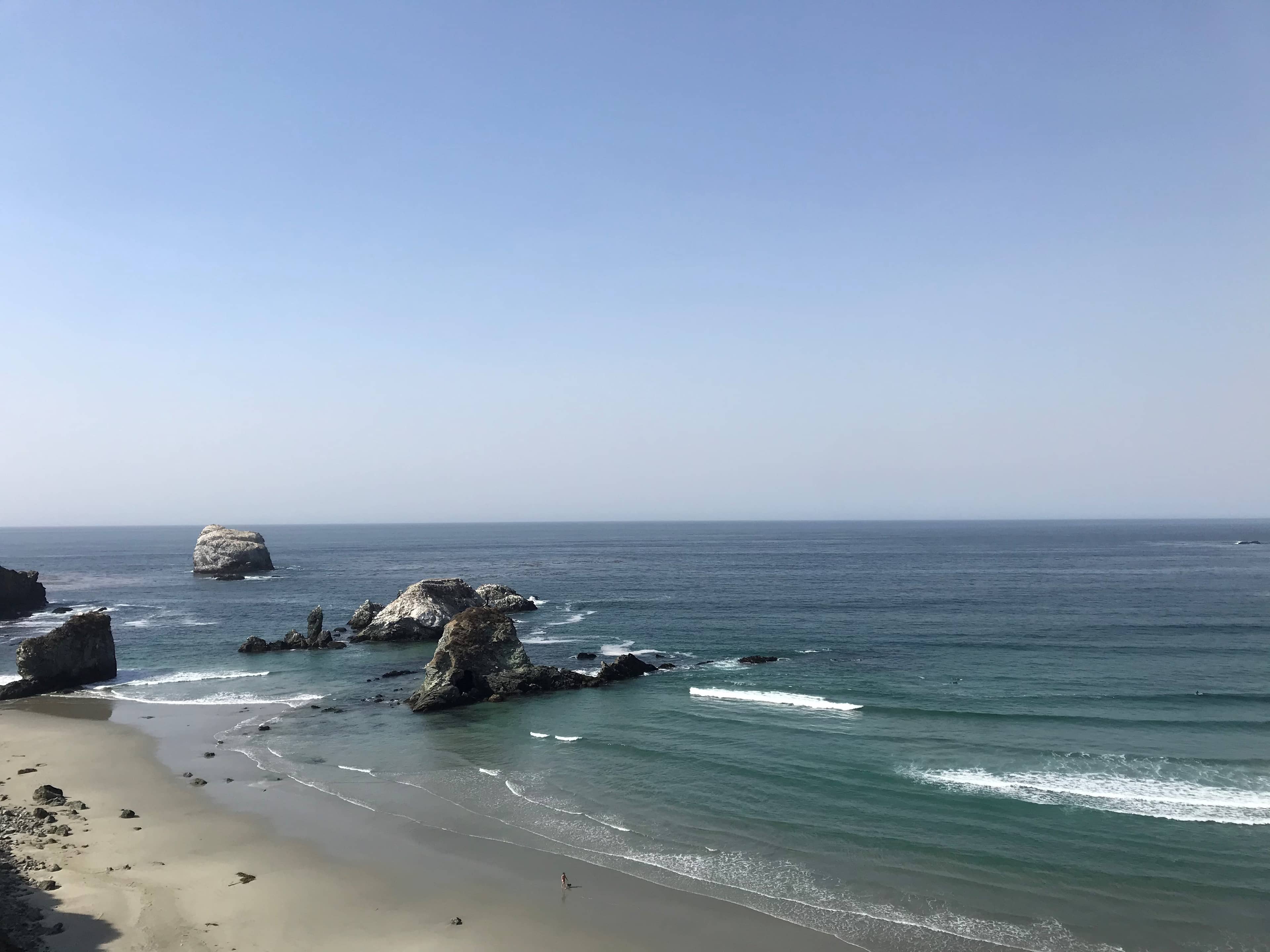 Surfing Opportunities