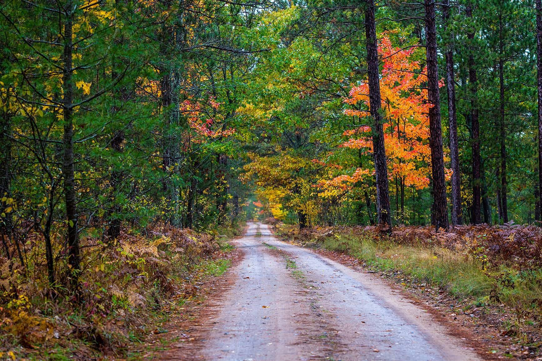 Nature Trails
