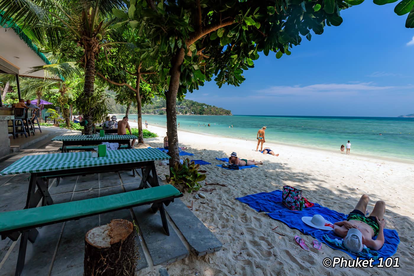 Free Sun Loungers