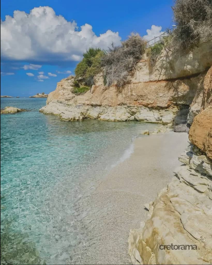 Sheltered Cove Ambiance