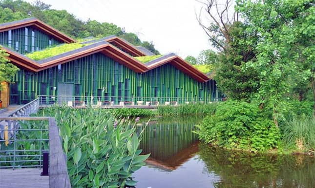 Tranquil Waterways