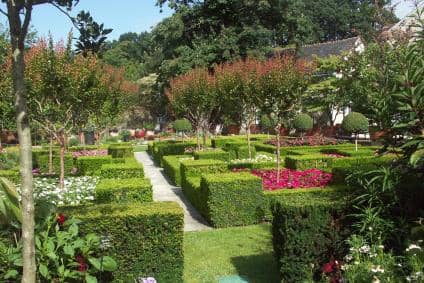 Shaded Gardens