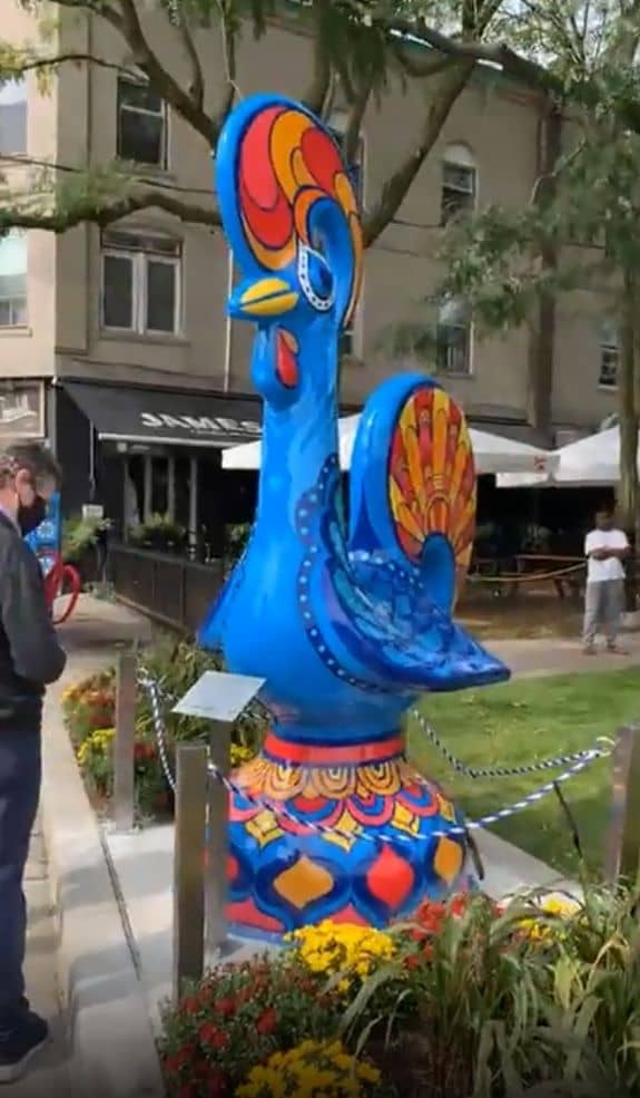 The Barcelos Rooster