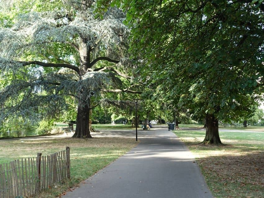 Green Oasis Near Station