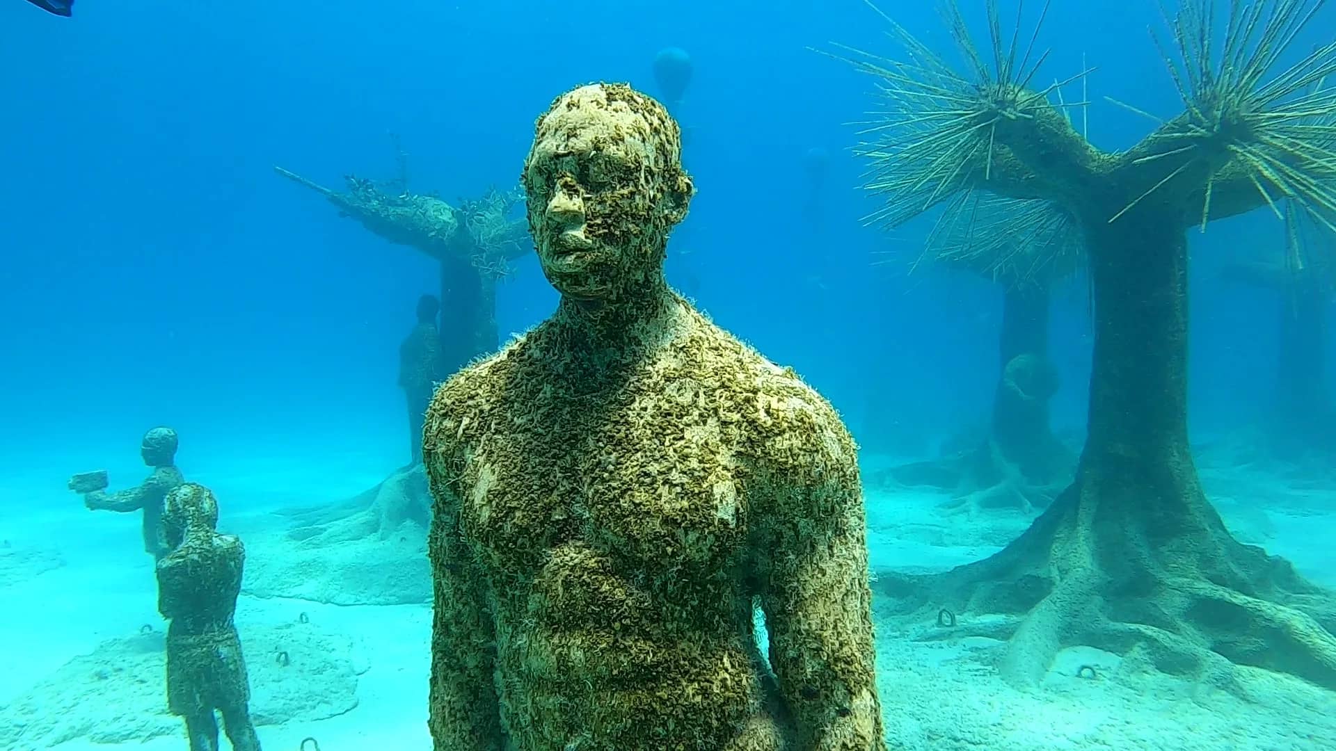 Underwater Museum Snorkel