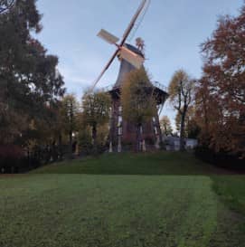 Pet-Friendly Paradise