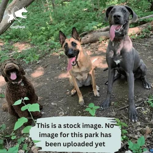 Dedicated Dog Areas