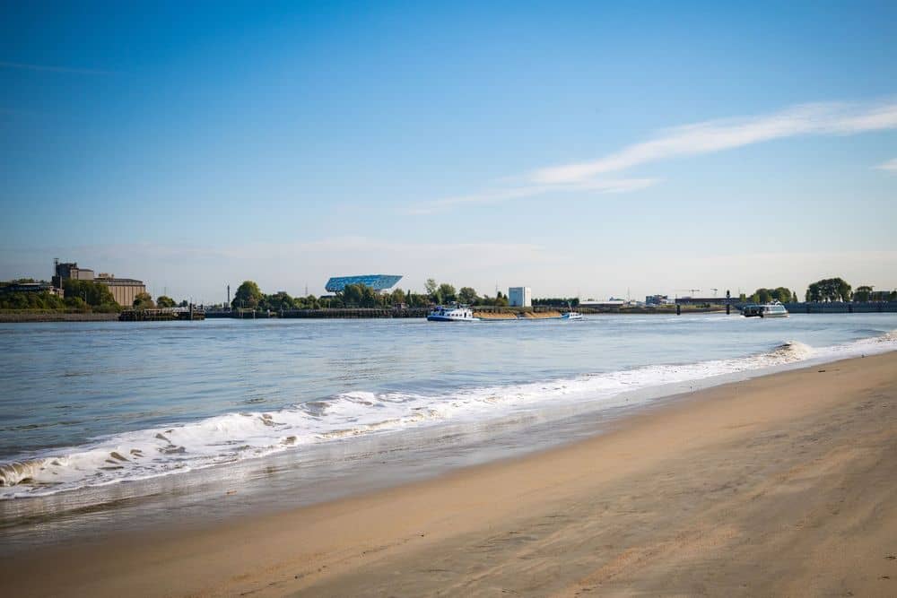 Scheldt River Promenade