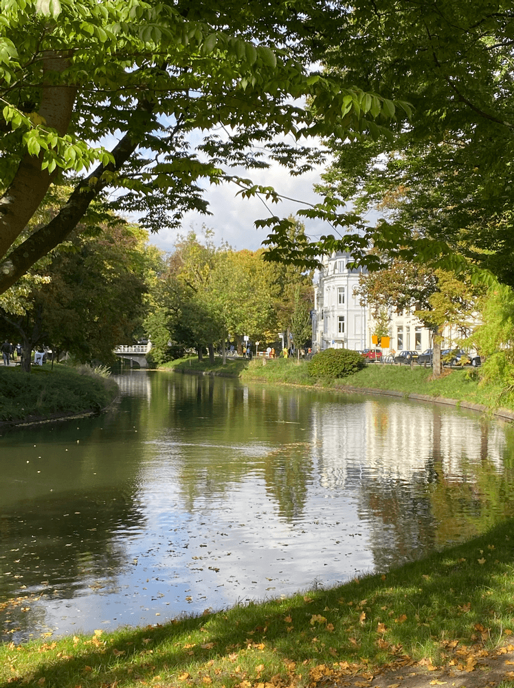 The Central Canal