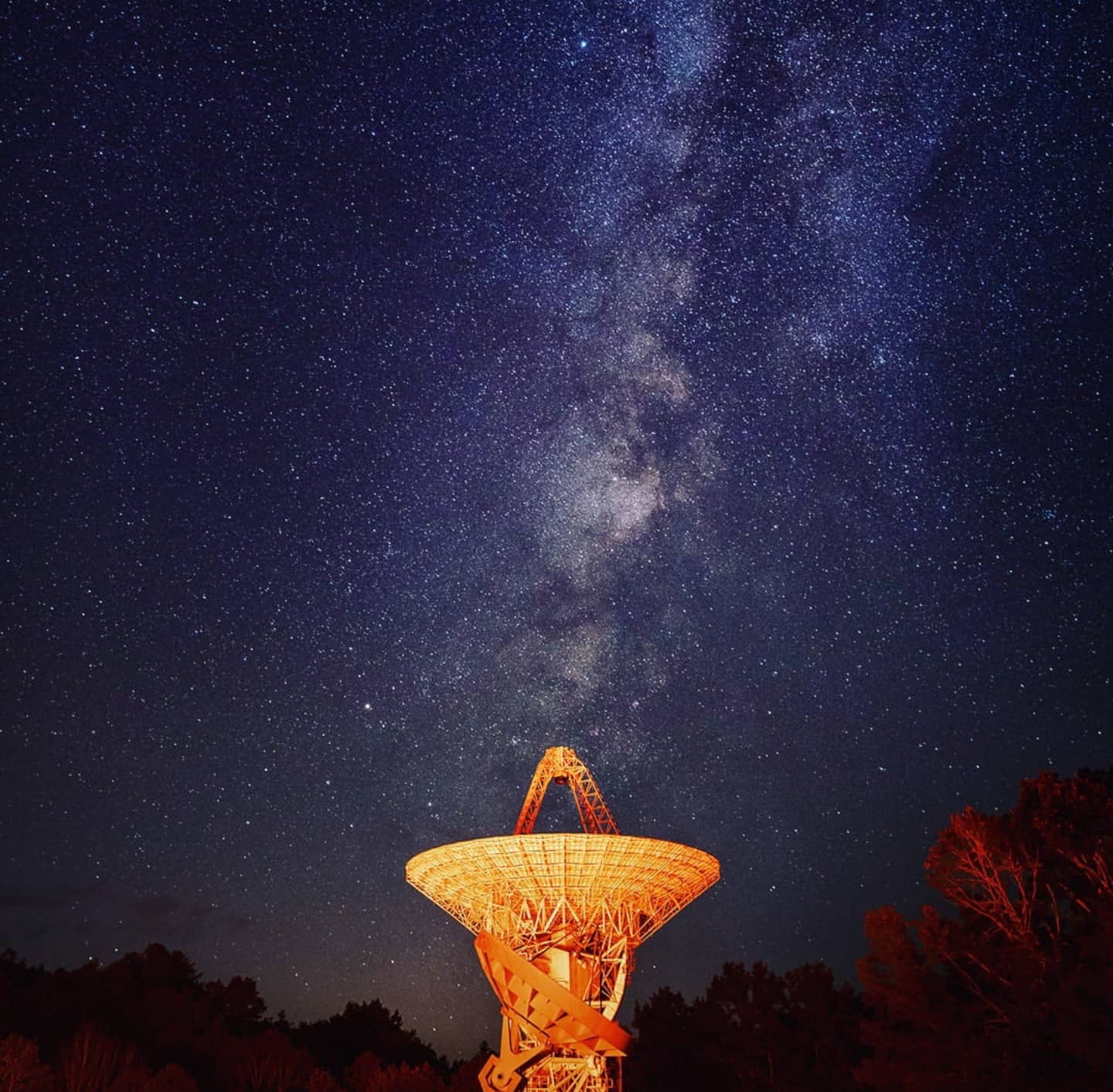Stargazing Nights