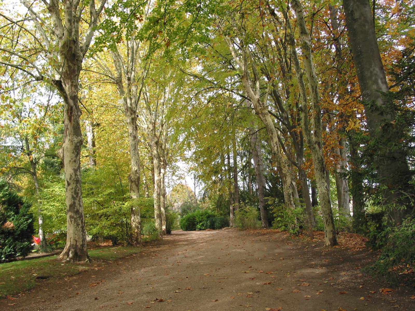 Autumnal Charm