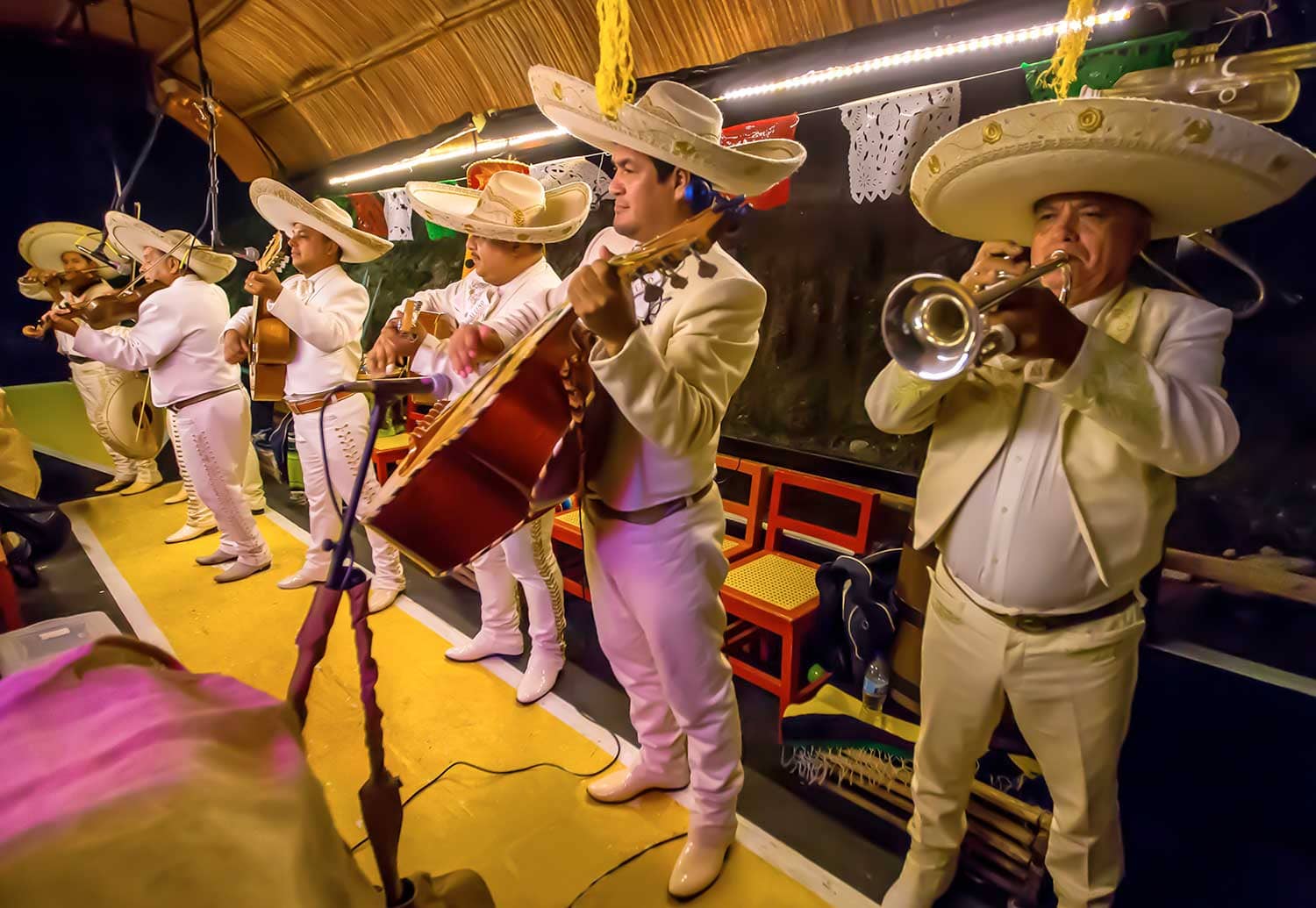 Live Mexican Music