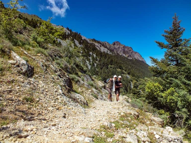 Pinsapar Trail