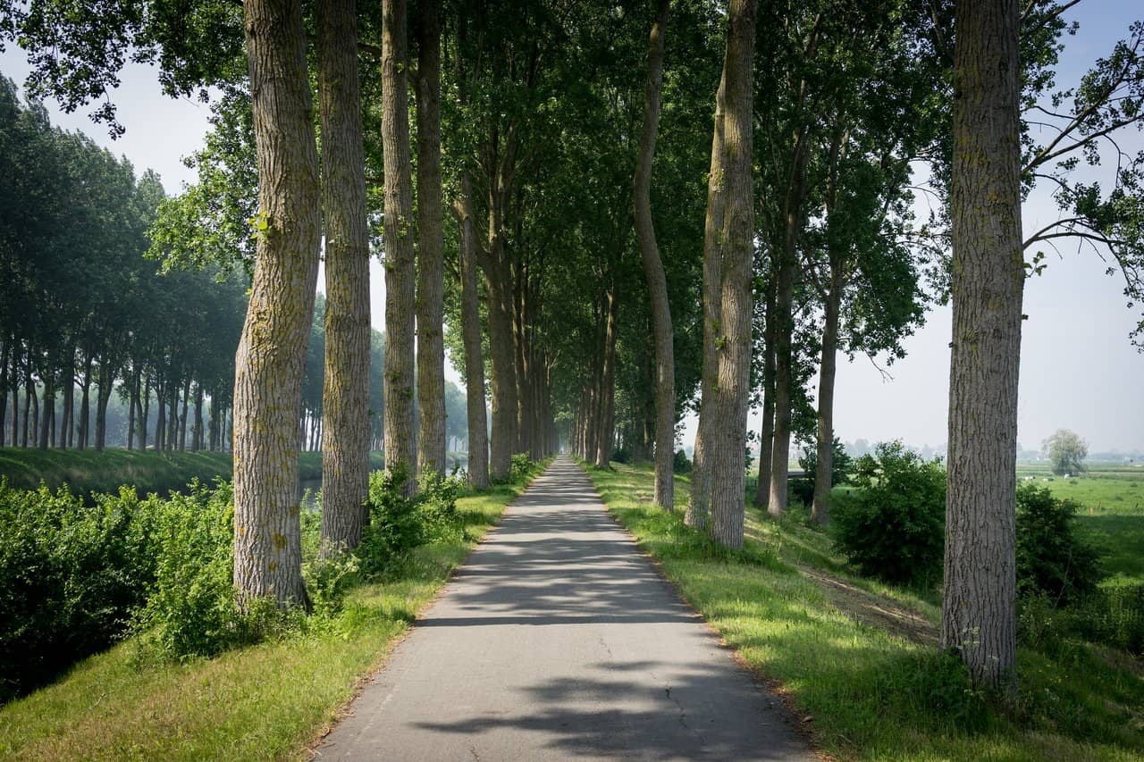 Beachfront Promenade